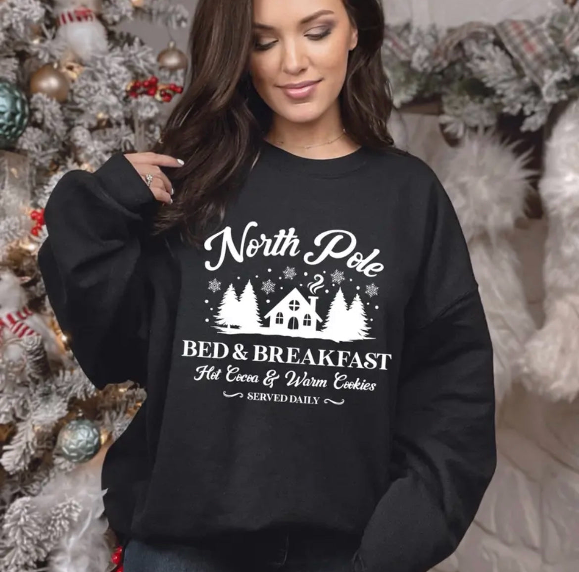 North pole